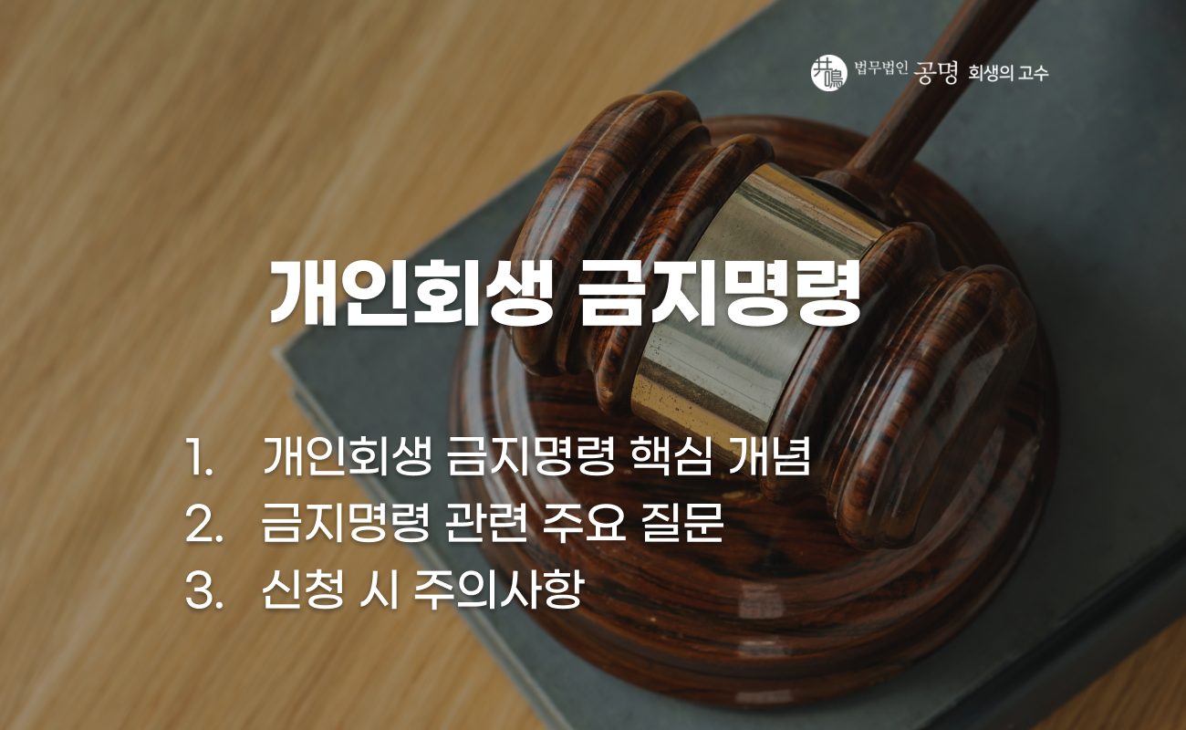 개인회생 금지명령 개념과 효과 설명 이미지