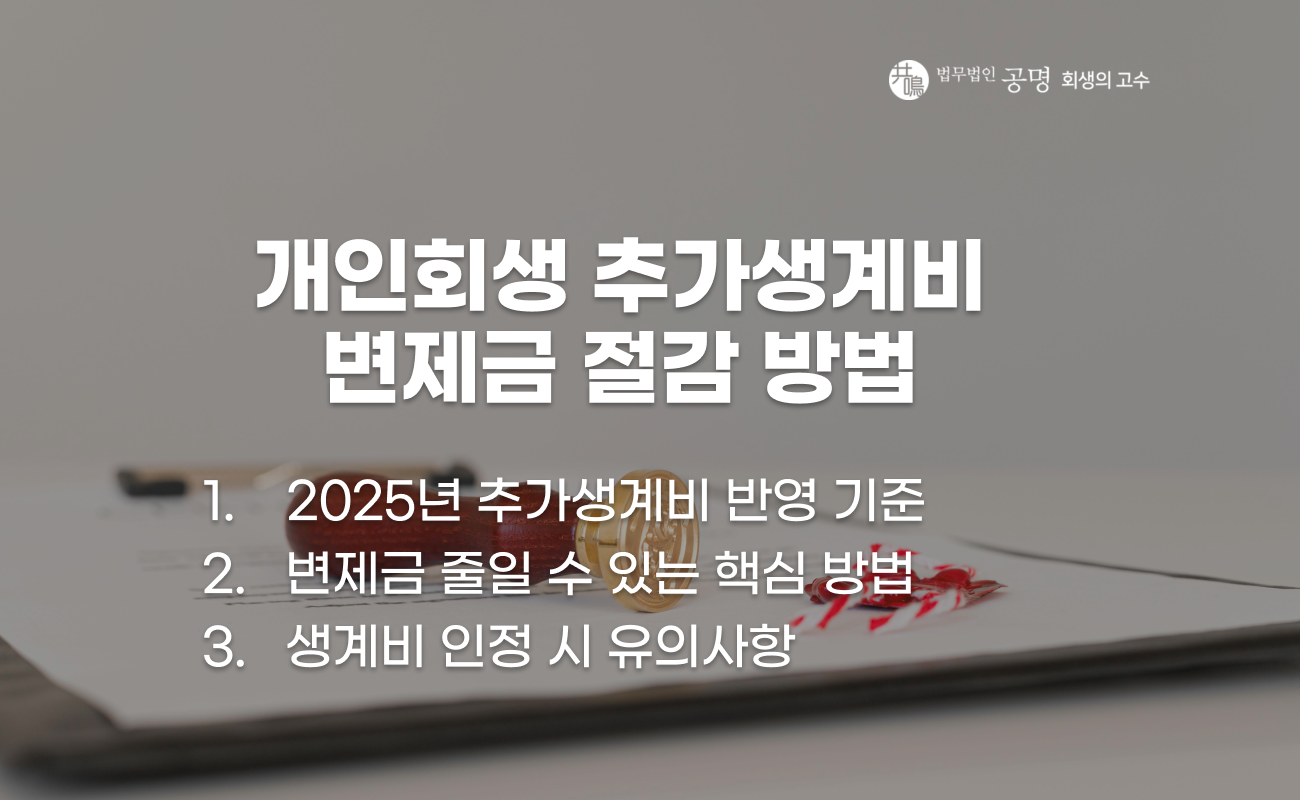 개인회생 추가생계비 인정 기준과 변제금 절감 방법 설명 이미지