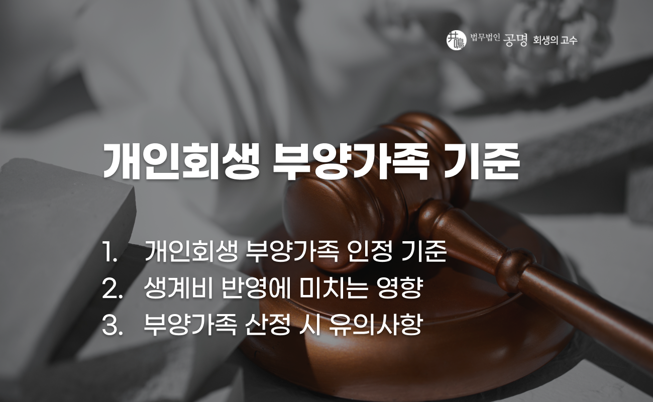개인회생 부양가족 인정 기준 설명 이미지