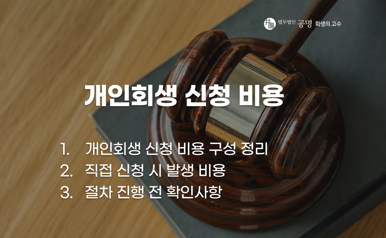 개인회생 직접 신청 비용과 절차 설명 이미지