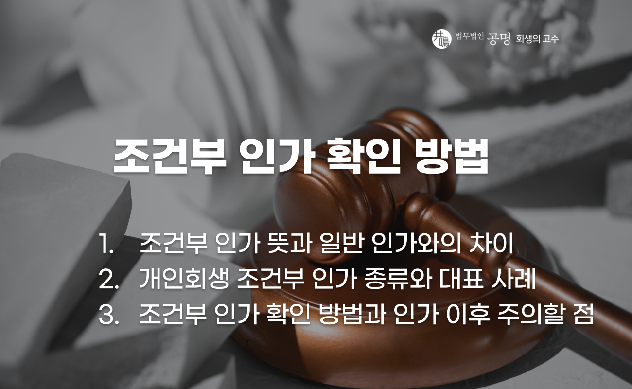 개인회생 조건부 인가 확인 방법과 결정문 문구 해석 설명 이미지