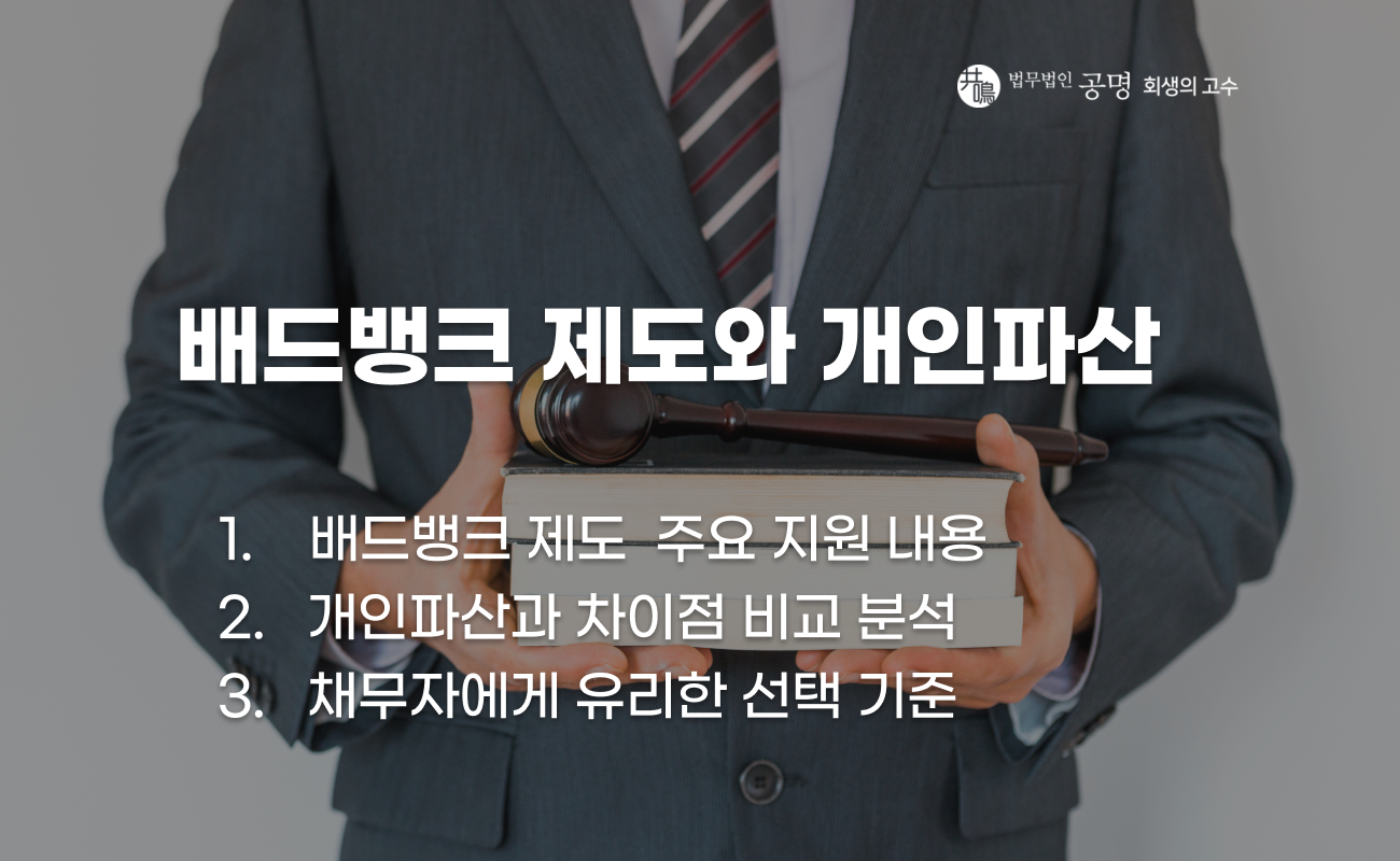 배드뱅크 개인채무자 구제 정책과 개인파산 비교 설명 이미지