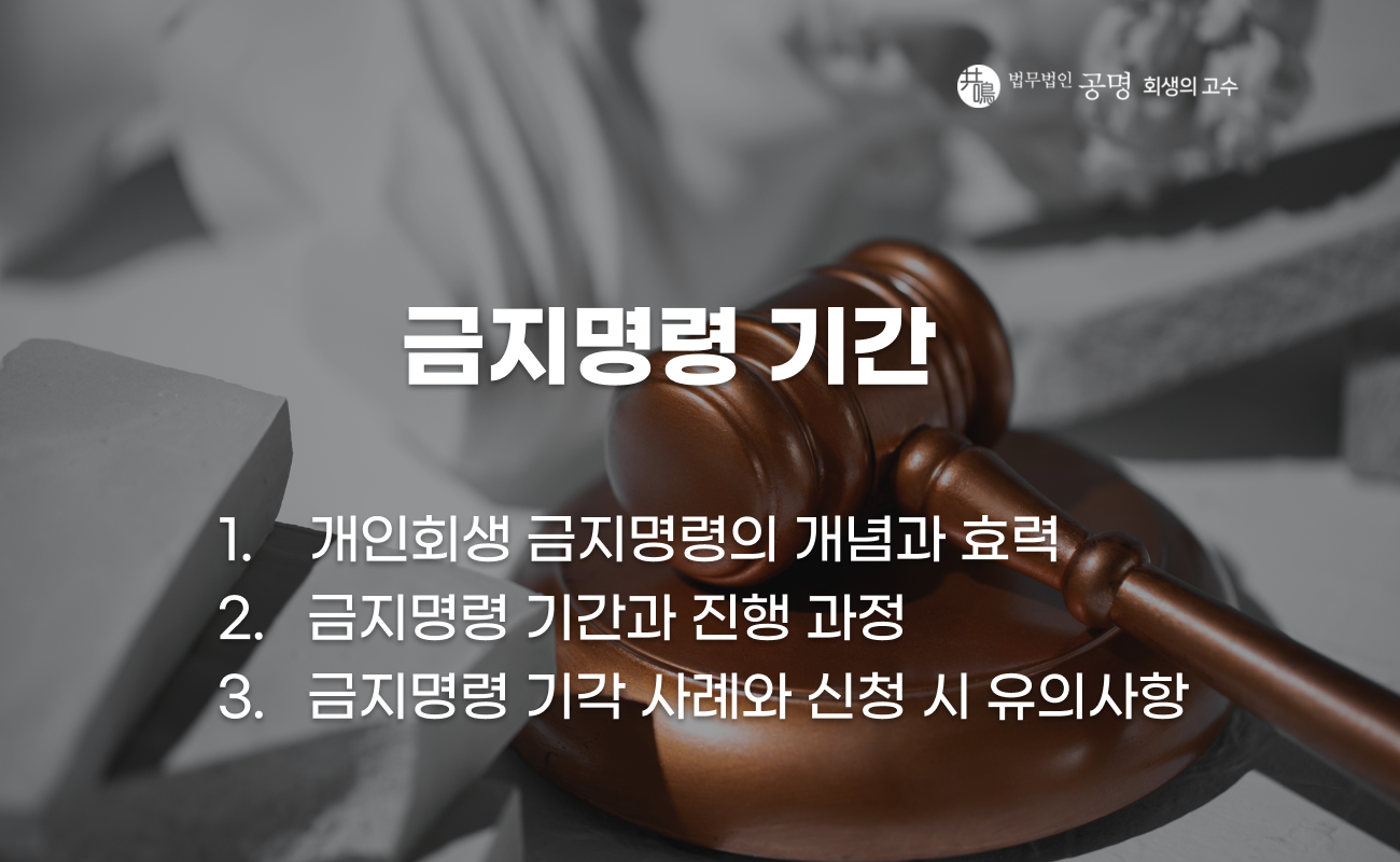 개인회생 금지명령 기간과 효력, 진행 절차 설명 이미지