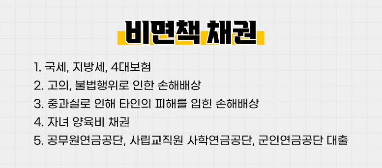 비면책 채권의 종류